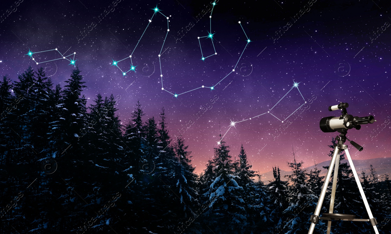 Image of Different constellations in starry sky over conifer forest at night. Stargazing with telescope