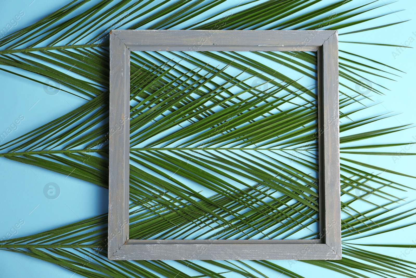 Photo of Square frame and tropical leaves on color background, top view