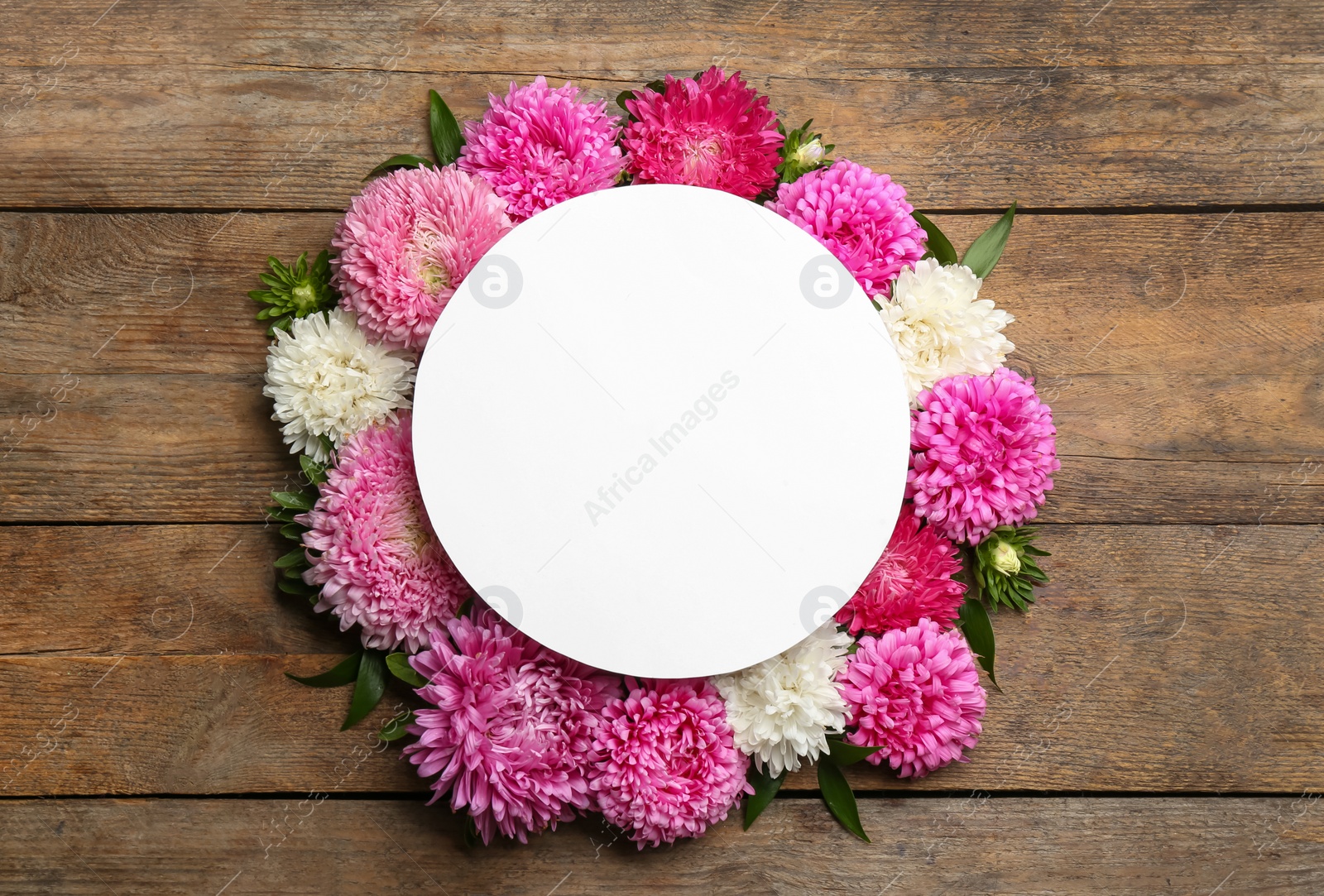 Photo of Flat lay composition with blank card and beautiful asters on wooden table, space for text. Autumn flowers