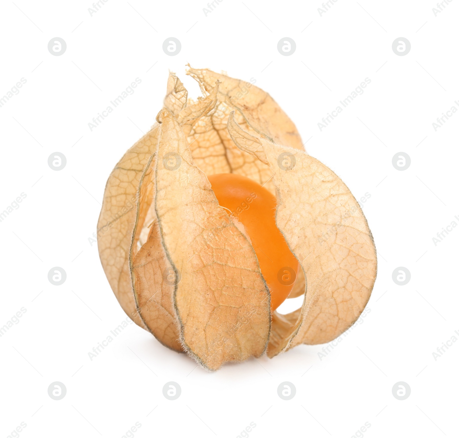 Photo of Ripe physalis fruit with dry husk on white background