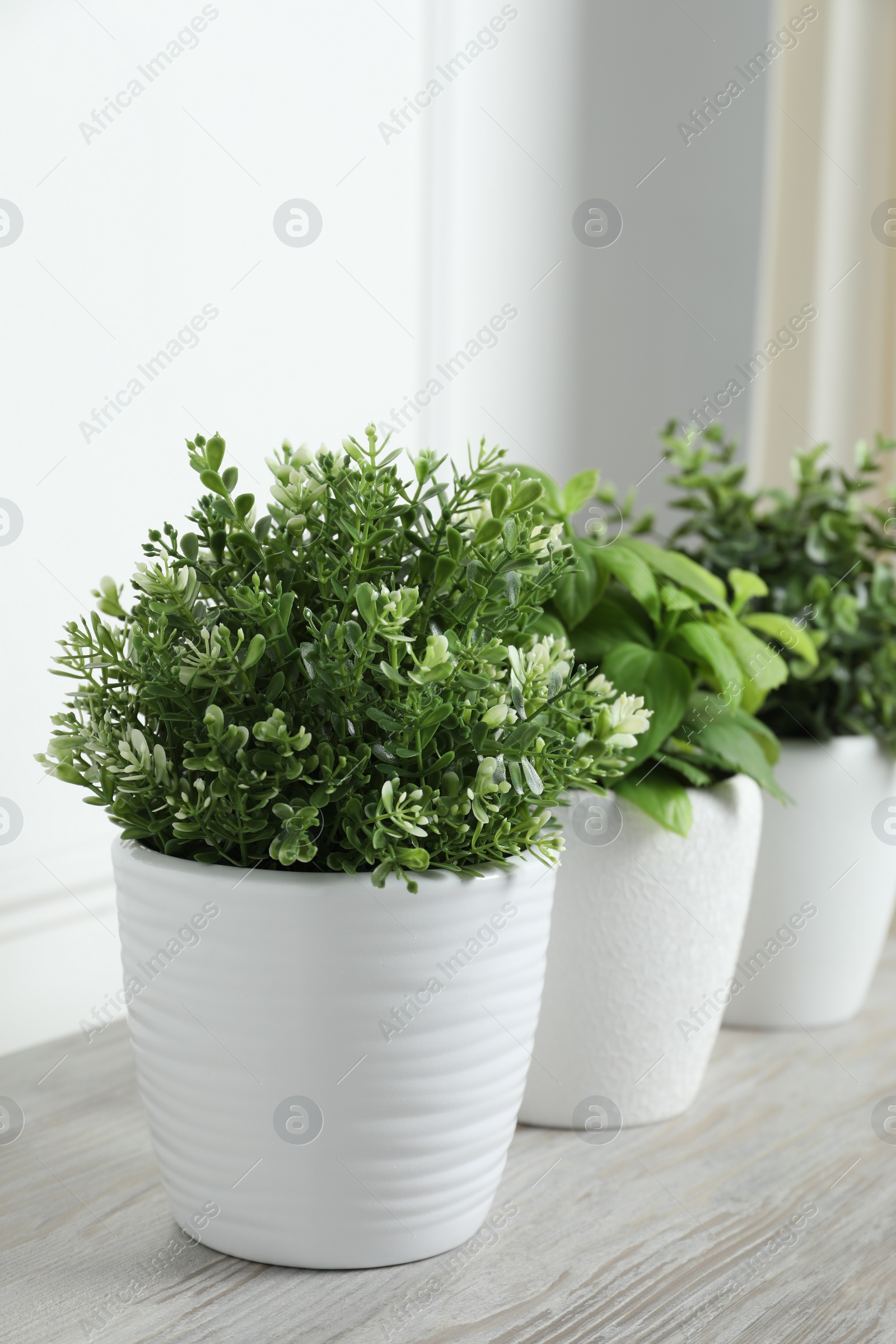 Photo of Different aromatic potted herbs on white wooden table indoors