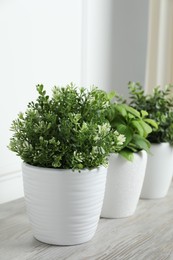 Different aromatic potted herbs on white wooden table indoors