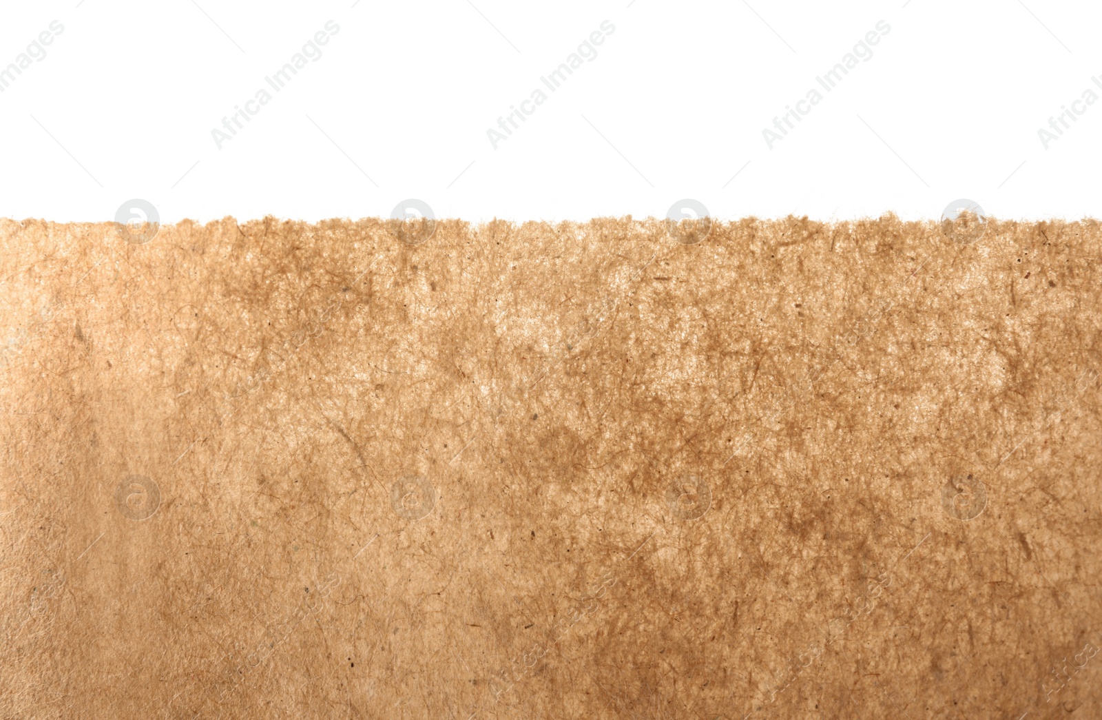 Photo of Brown paper bag on white background, closeup