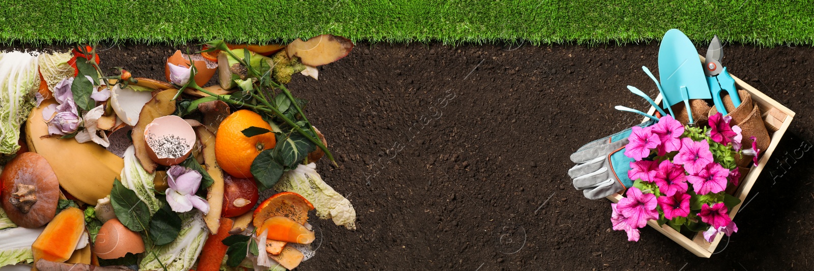 Image of Gardening tools, flowers and organic waste for composting on soil, flat lay. Natural fertilizer
