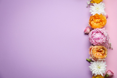 Photo of Floral composition with beautiful flowers on color background, flat lay. Space for text