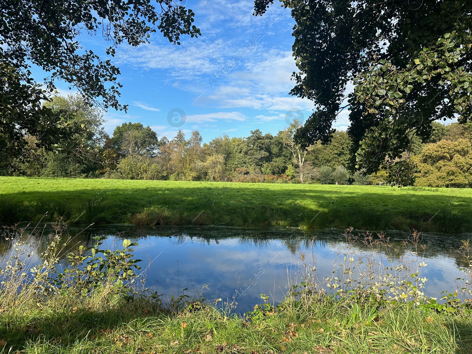 Photo of Beautiful water channel, green grass and trees in park