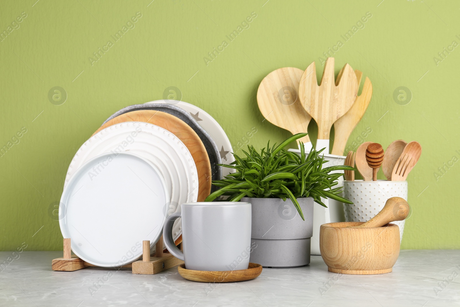 Photo of Green plant and different kitchenware on table near color wall. Modern interior design