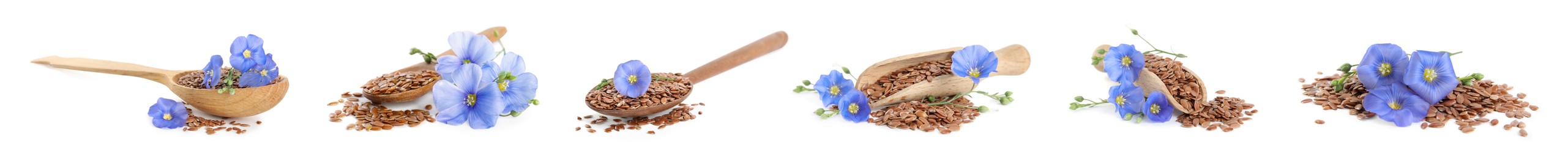 Image of Set with flax seeds and flowers on white background. Banner design