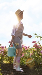 Photo of Woman with watering can near rose bushes outdoors. Gardening tool