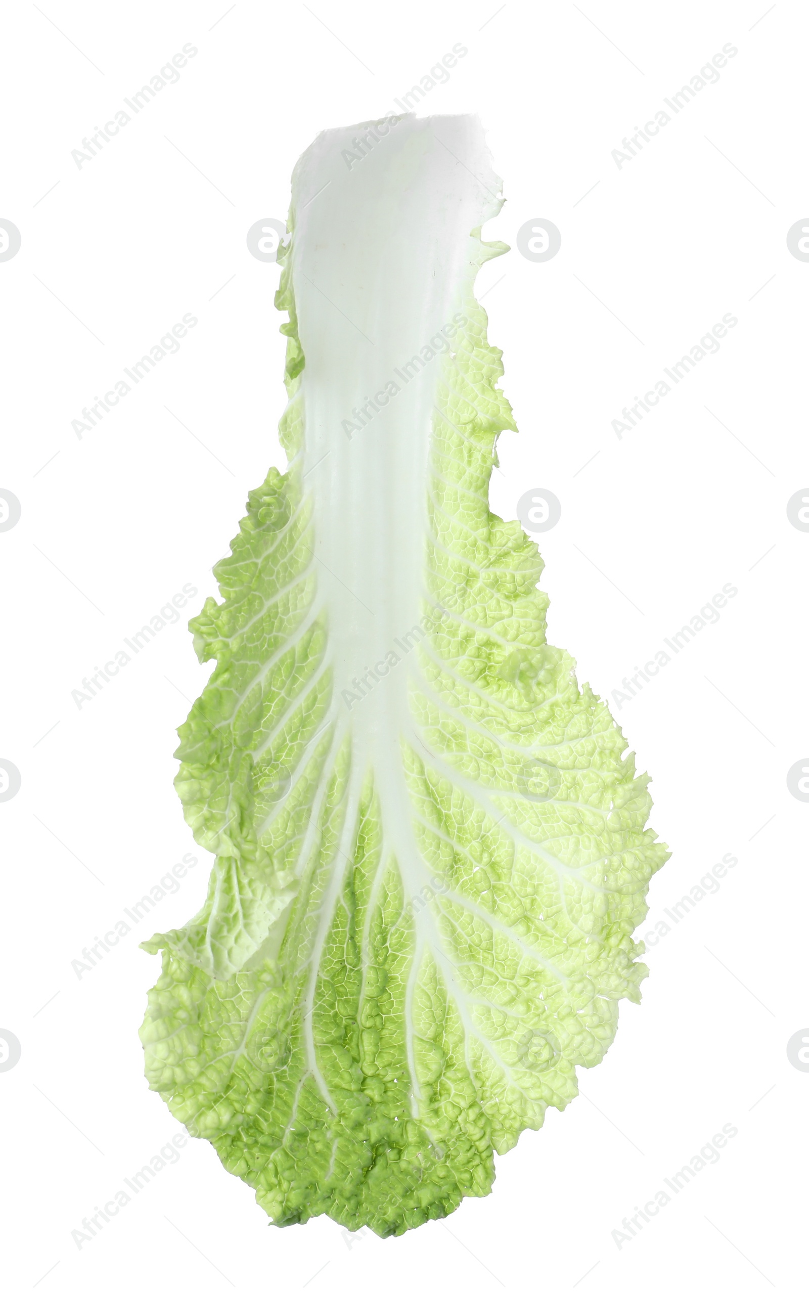 Photo of Fresh Chinese cabbage leaf isolated on white