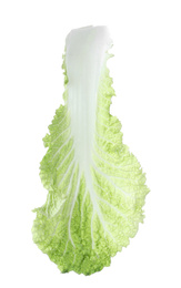 Fresh Chinese cabbage leaf isolated on white