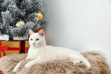Photo of Cute white cat on fur rug near Christmas tree indoors. Cozy winter