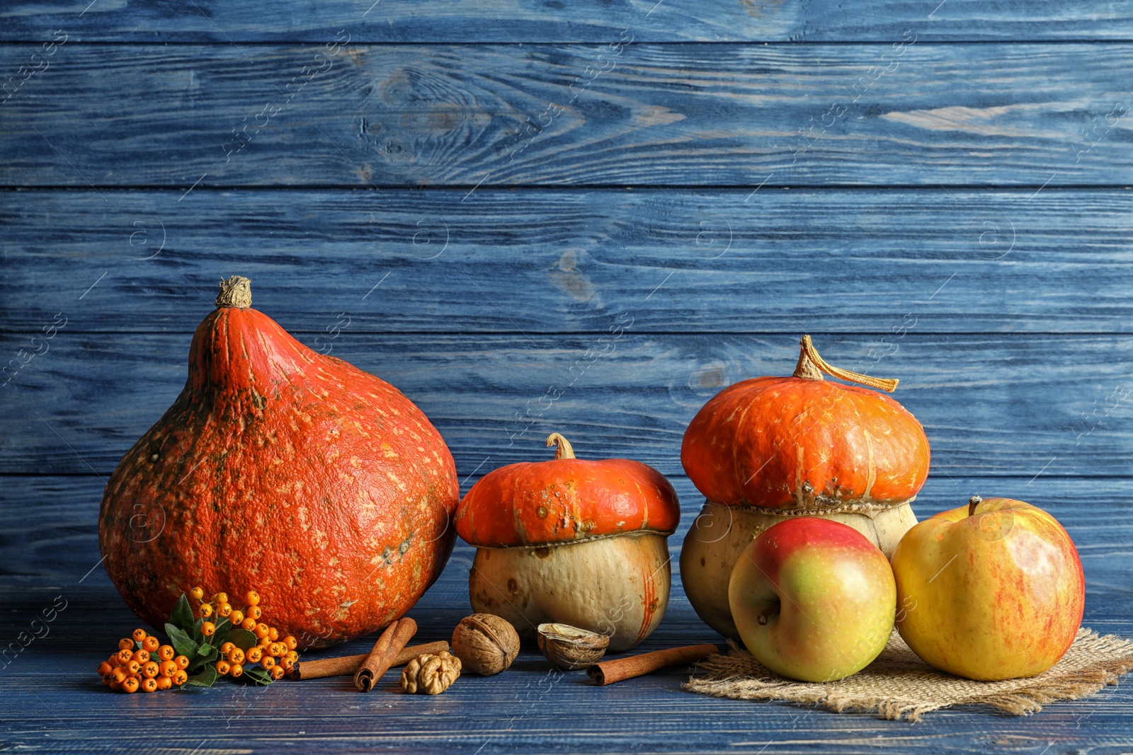 Photo of Composition with different pumpkins on table against wooden wall. Autumn holidays