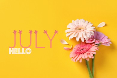 Image of Hello July. Beautiful gerbera flowers on yellow background, flat lay