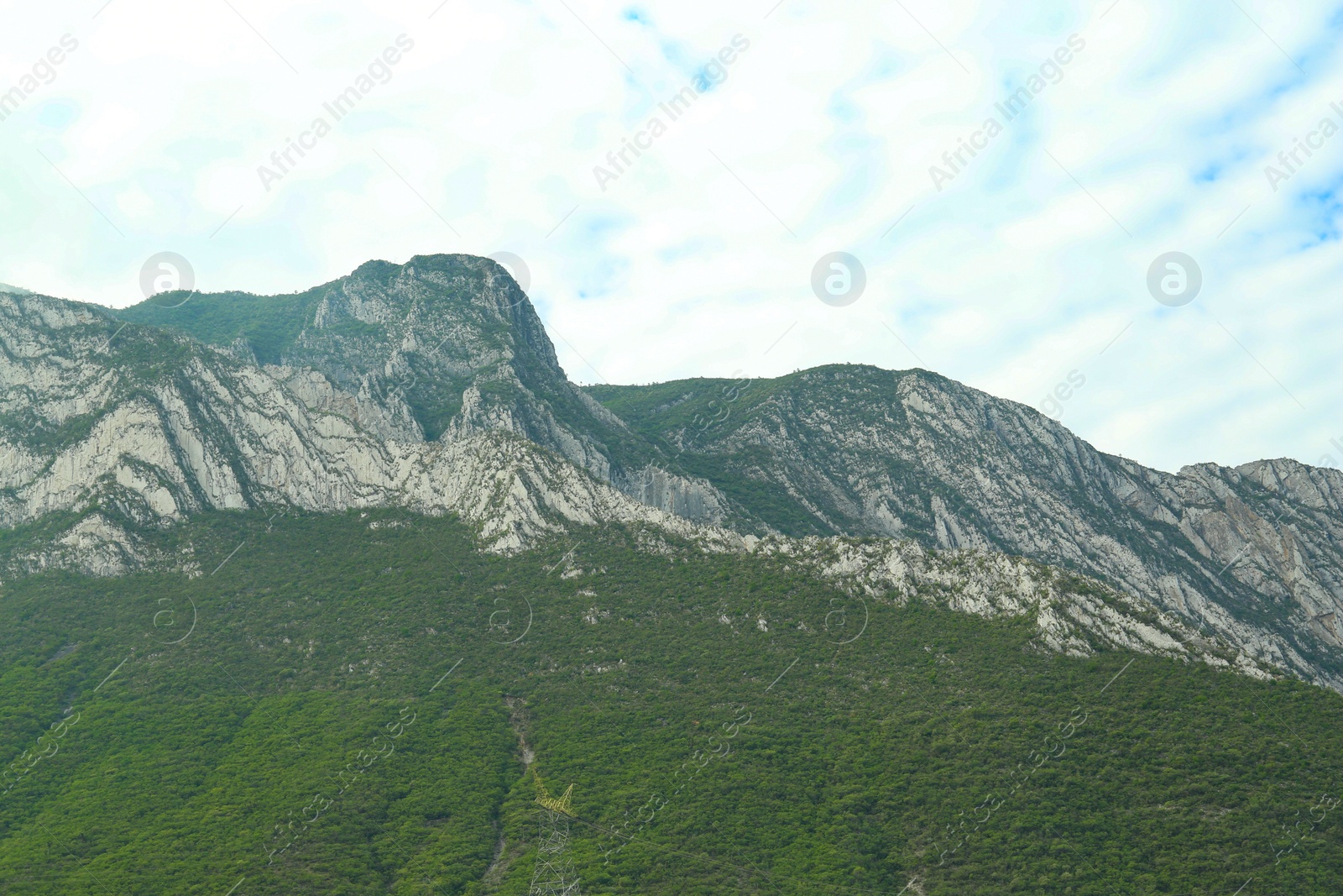 Photo of Majestic mountain landscape covered with greenery on cloudy day