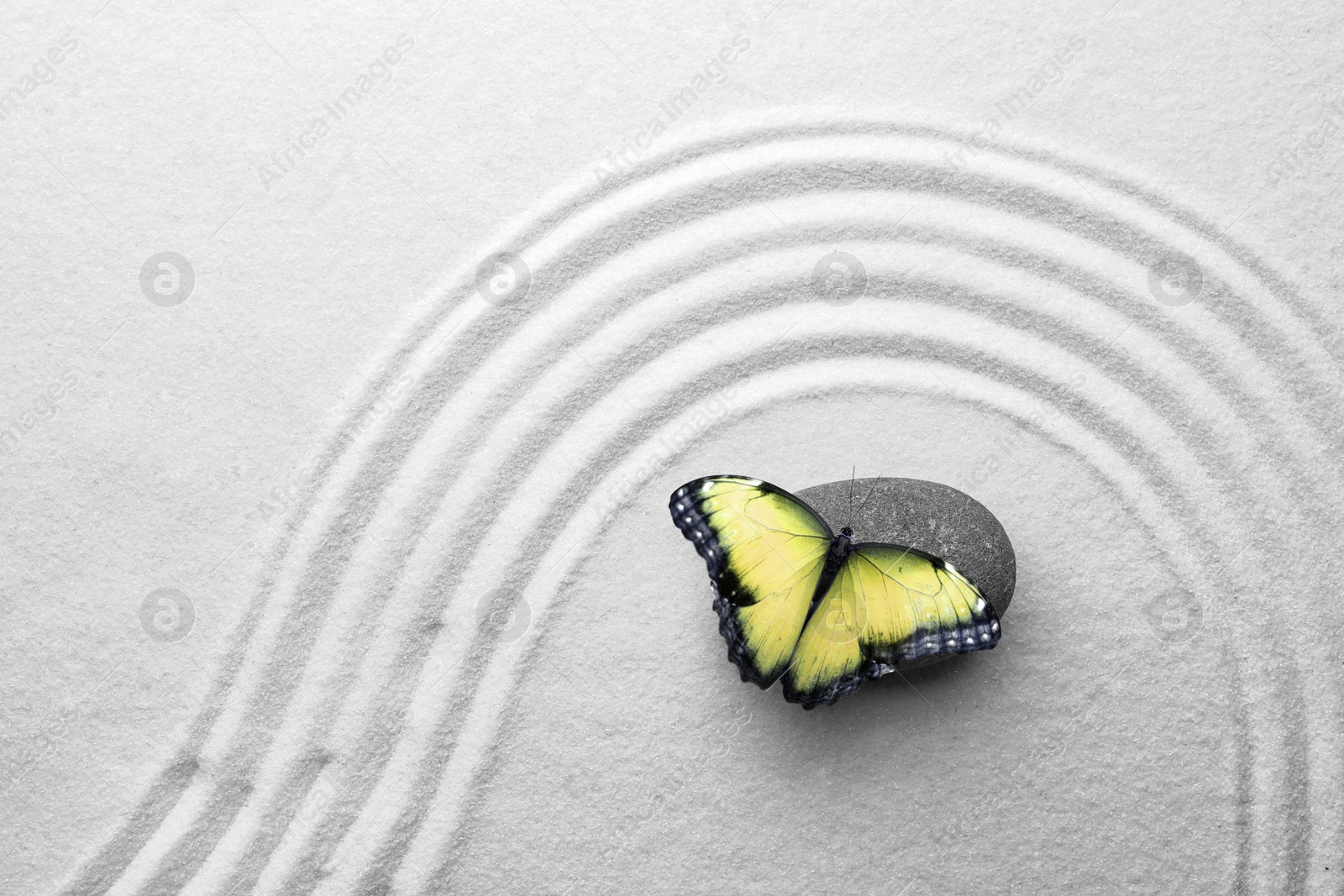 Image of Beautiful butterfly and stone on white sand with pattern, top view. Zen concept