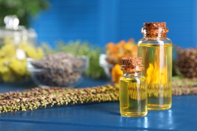 Photo of Bottles of essential oils and different herbs on blue wooden table, closeup. Space for text