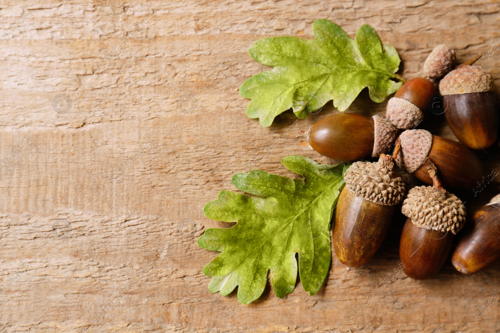 Photo of Pile of acorns and oak leaves on wooden table. Space for text