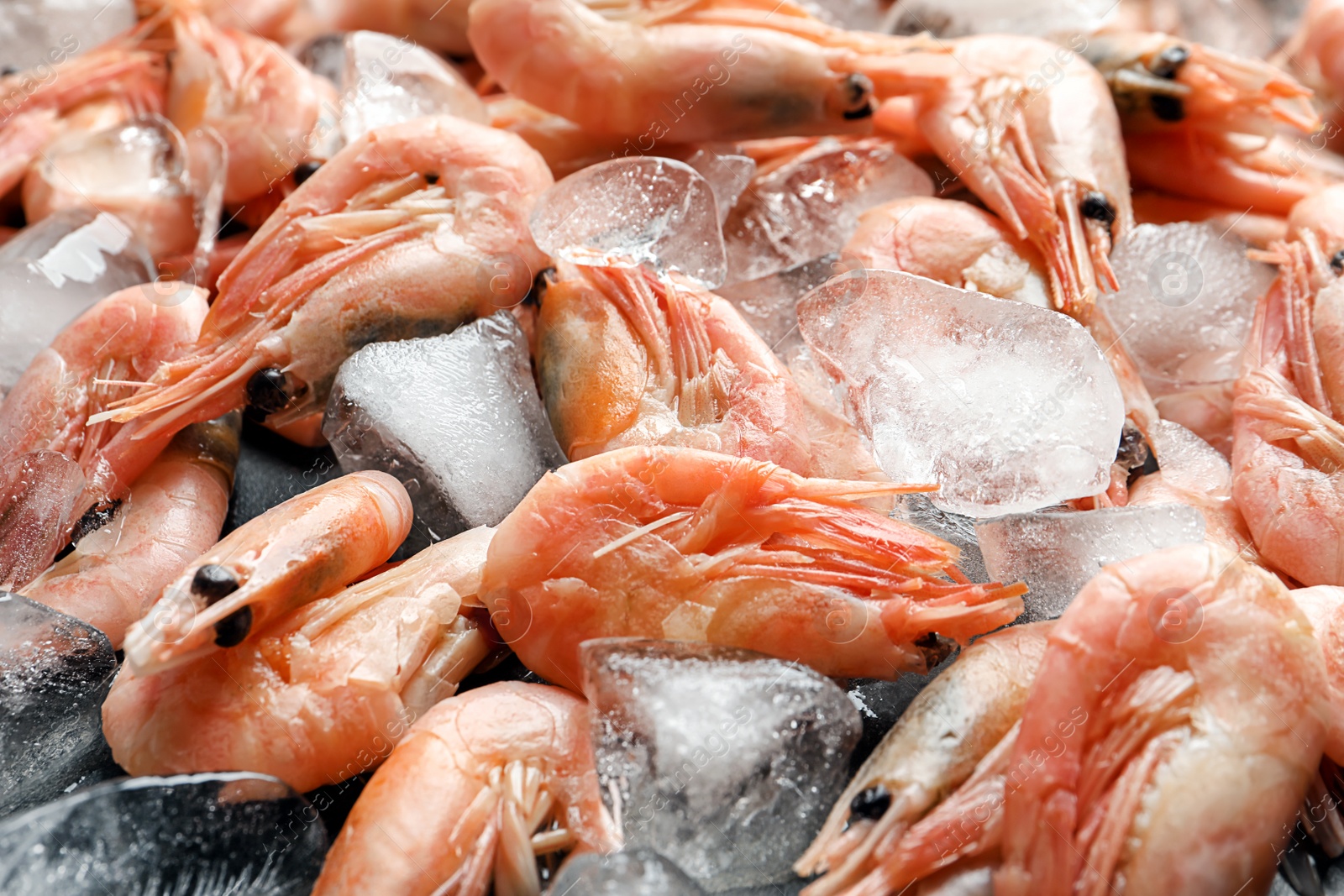 Photo of Fresh raw shrimps with ice, closeup