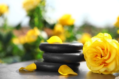 Photo of Spa stones and fresh rose on table in blooming garden. Harmony and zen