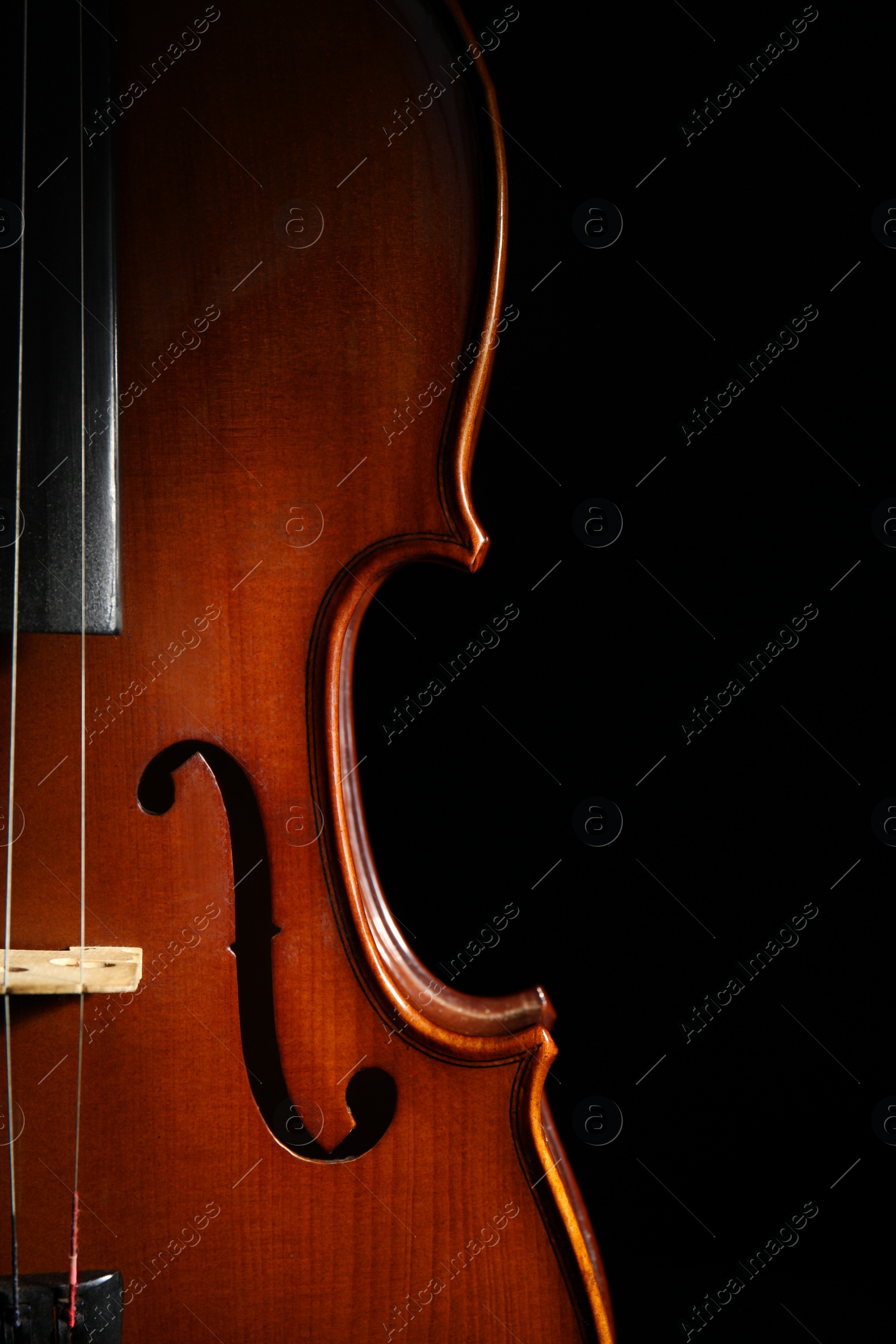Photo of Classic violin on black background, closeup view