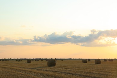 Photo of Beautiful view of agricultural field with hay bales