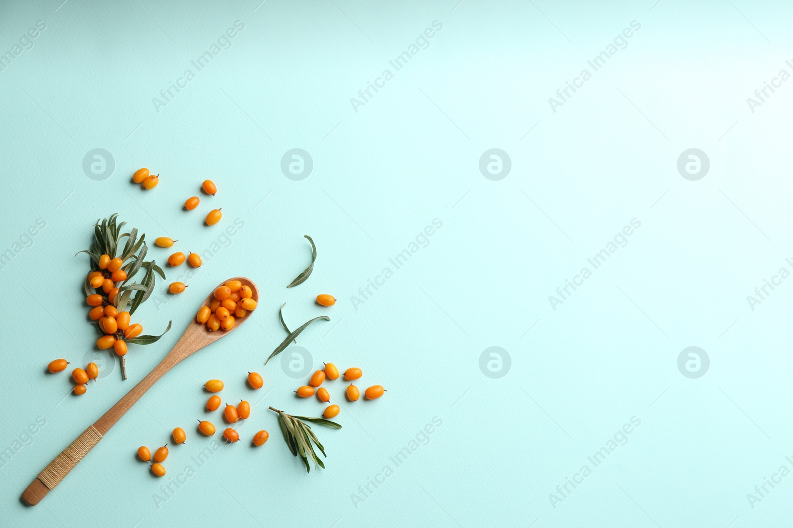 Photo of Fresh ripe sea buckthorn on light blue background, flat lay. Space for text