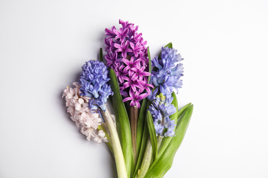 Photo of Beautiful spring flowers on white background, top view