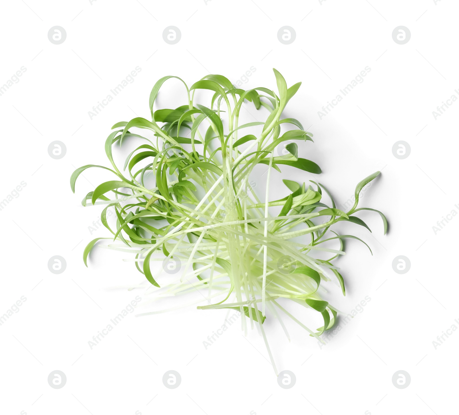 Photo of Pile of fresh microgreen isolated on white, top view