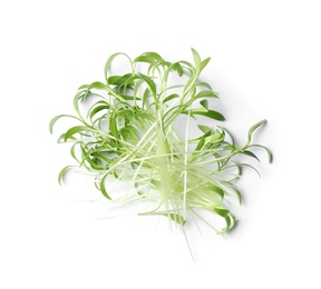 Photo of Pile of fresh microgreen isolated on white, top view