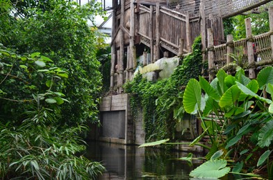 Photo of Beautiful wooden structure with bridge in greenhouse near pool