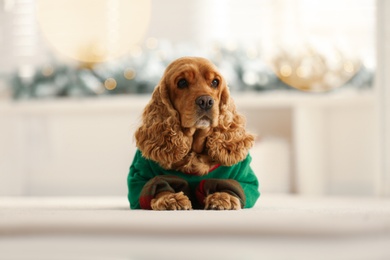 Adorable Cocker Spaniel in Christmas sweater on blurred background