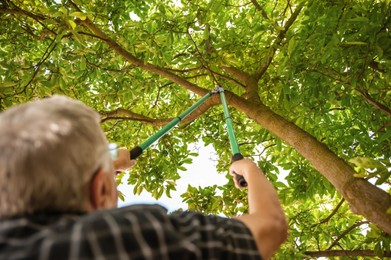 Man pruning tree outdoors, focus on secateurs