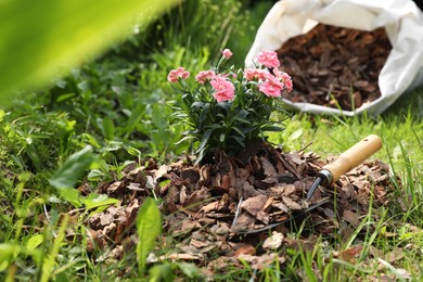 Flowers mulched with bark chips and trowel in garden