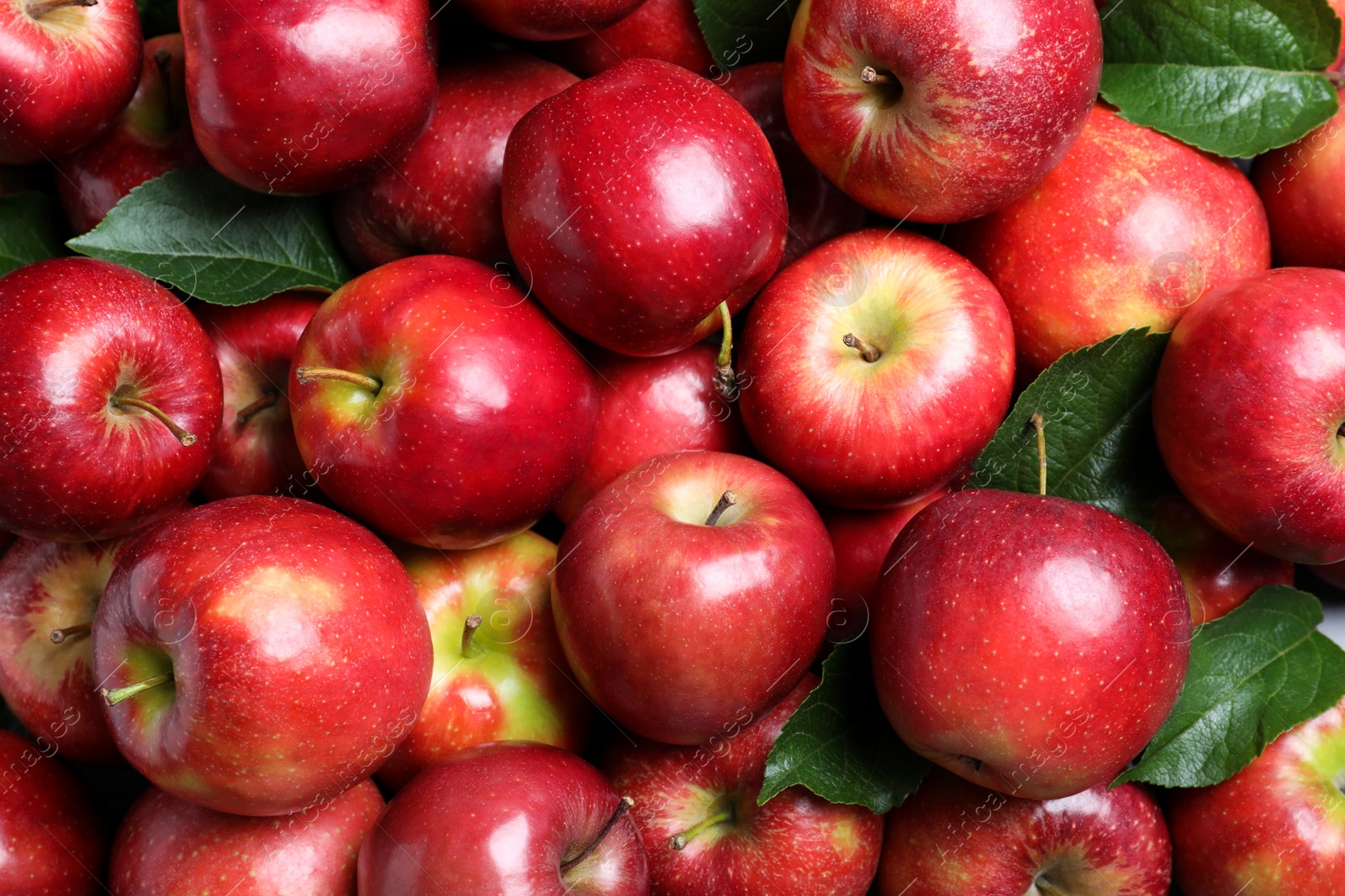 Photo of Pile of tasty red apples with leaves as background, top view