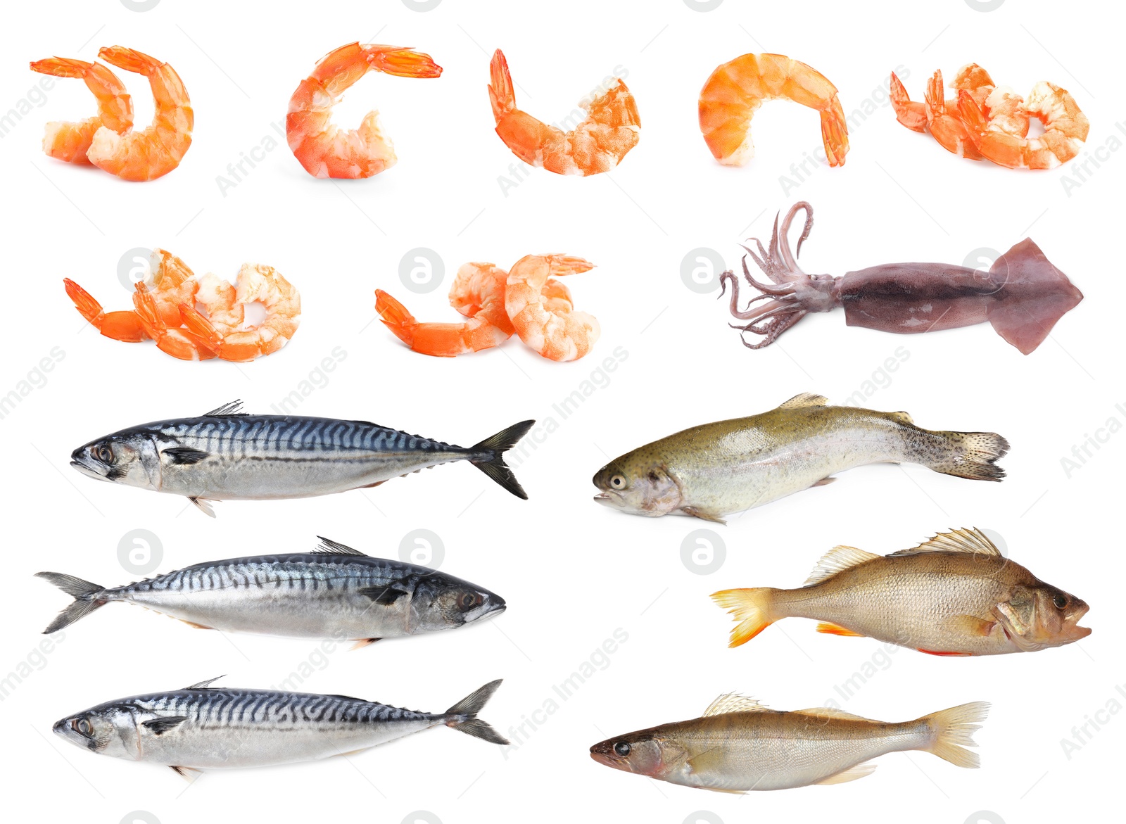 Image of Collage with different seafood on white background