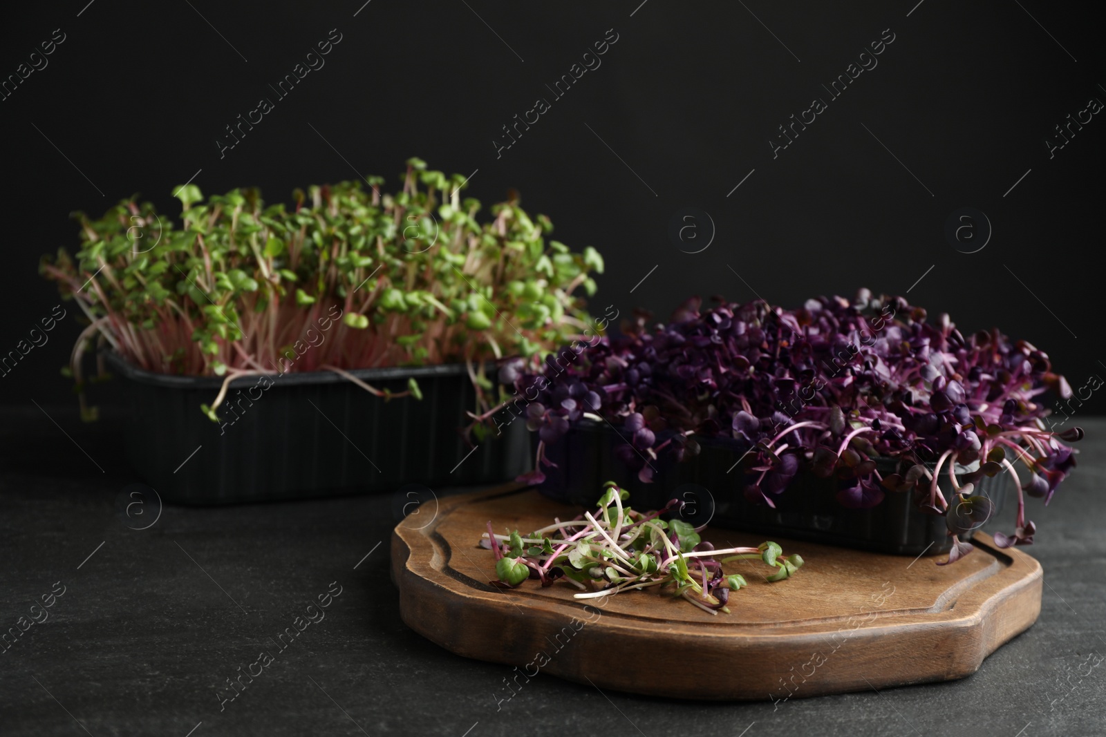 Photo of Fresh radish microgreens and wooden board on dark grey table