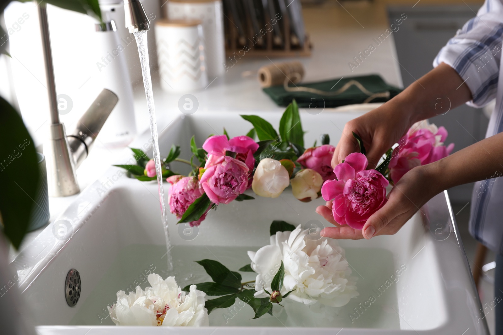 Photo of Woman with beautiful peonies near kitchen sink, closeup