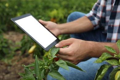 Man using tablet with blank screen in field, closeup. Agriculture technology