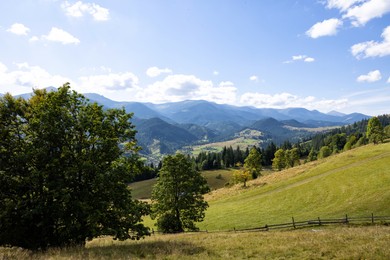 Image of Beautiful mountain landscape with field and forest on sunny day