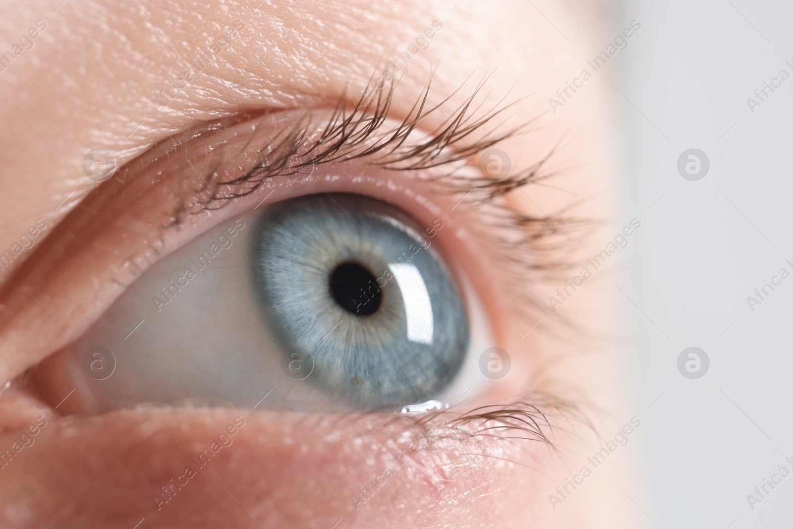 Photo of Macro photo of woman with beautiful eyes on light background