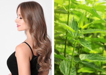 Natural hair care. Beautiful young woman and green stinging nettles, collage