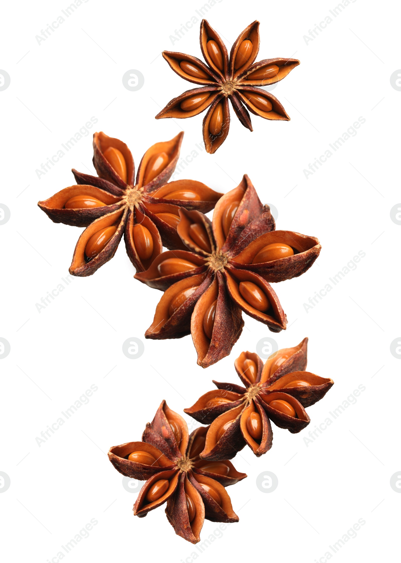 Image of Dry aromatic anise stars falling on white background