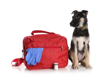 Cute puppy with first aid kit on white background