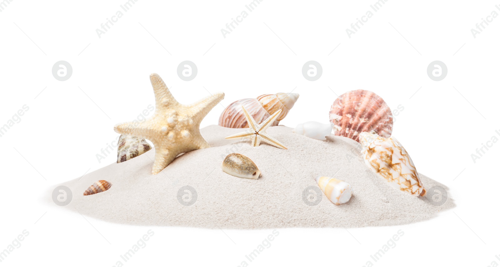 Photo of Beautiful sea stars and seashells in sand on white background