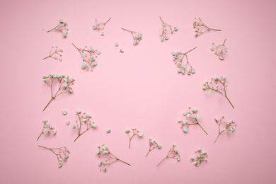 Frame made of beautiful gypsophila flowers on pink background, flat lay with space for text. Floral layout