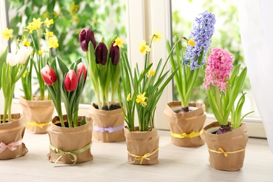 Photo of Beautiful spring flowers in wrapped pots on white wooden window sill