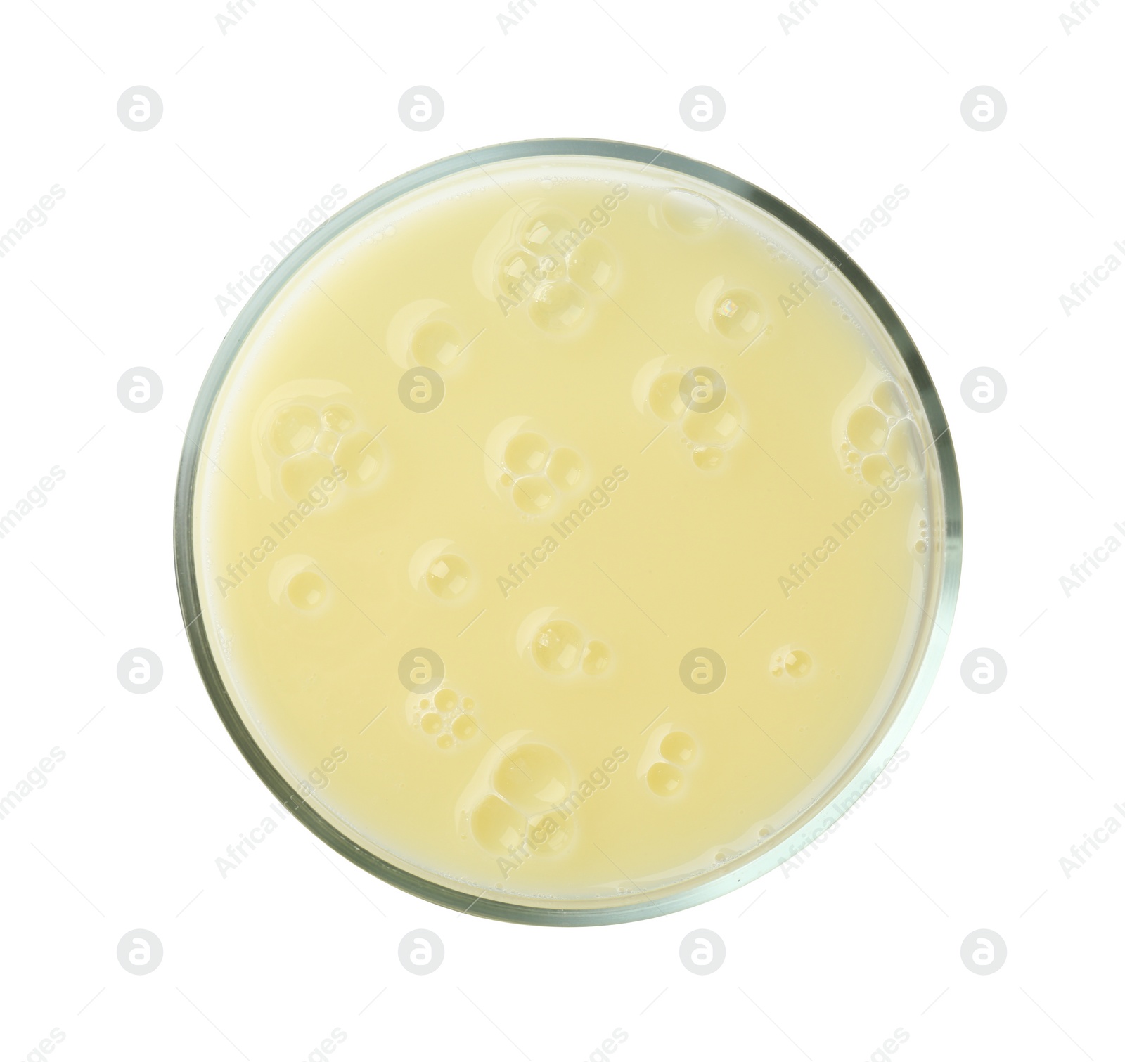 Photo of Petri dish with yellow liquid sample on white background, top view