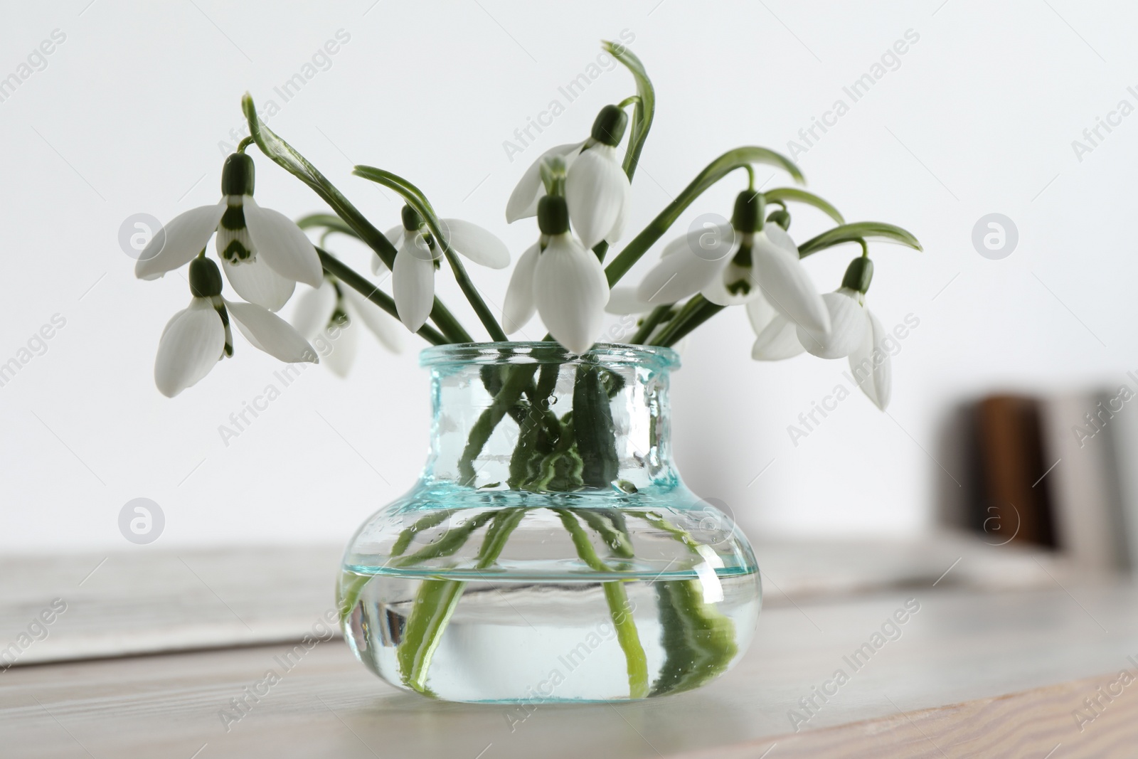 Photo of Beautiful snowdrop flowers in glass vase on wooden table