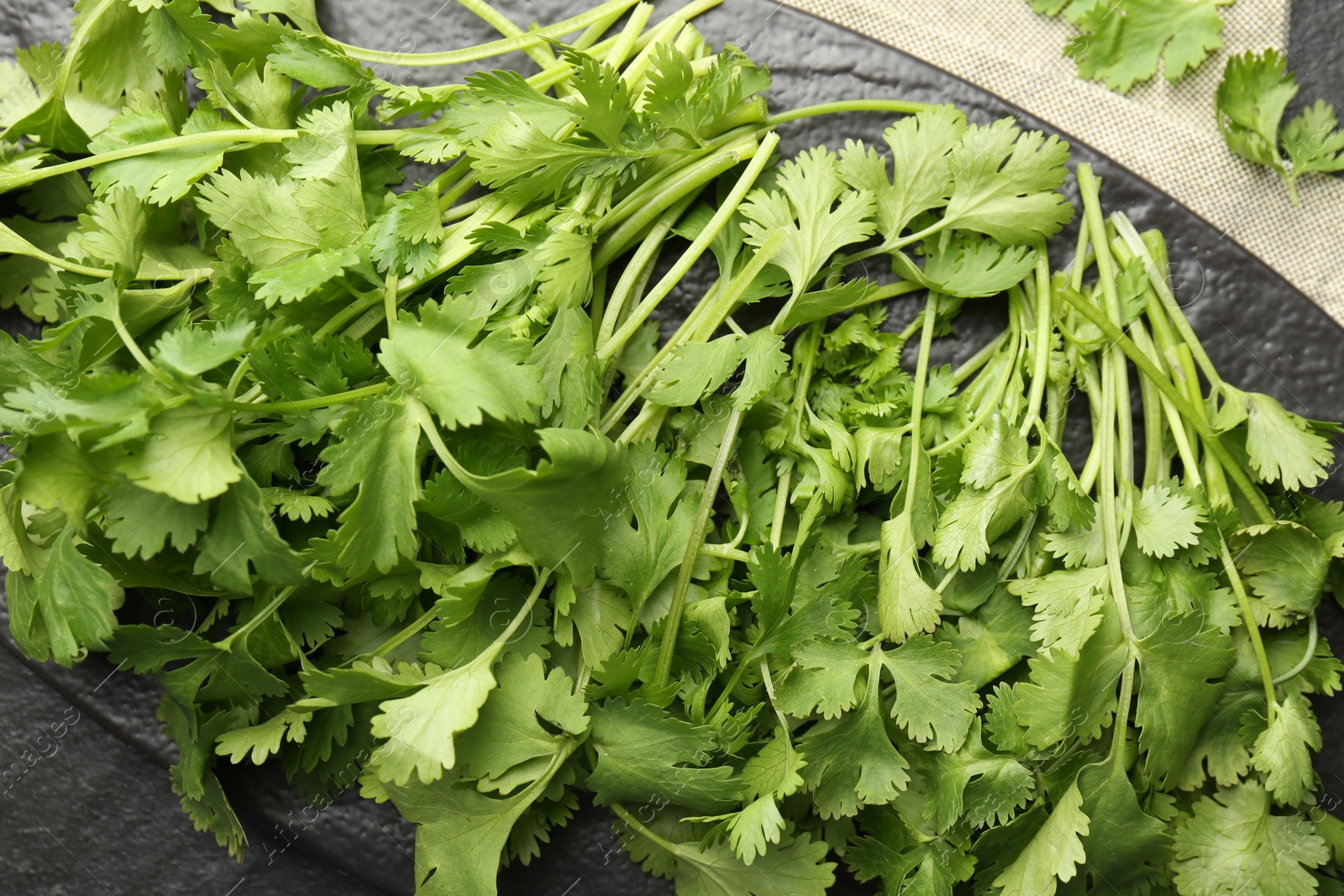 Photo of Fresh coriander on dark gray table, top view